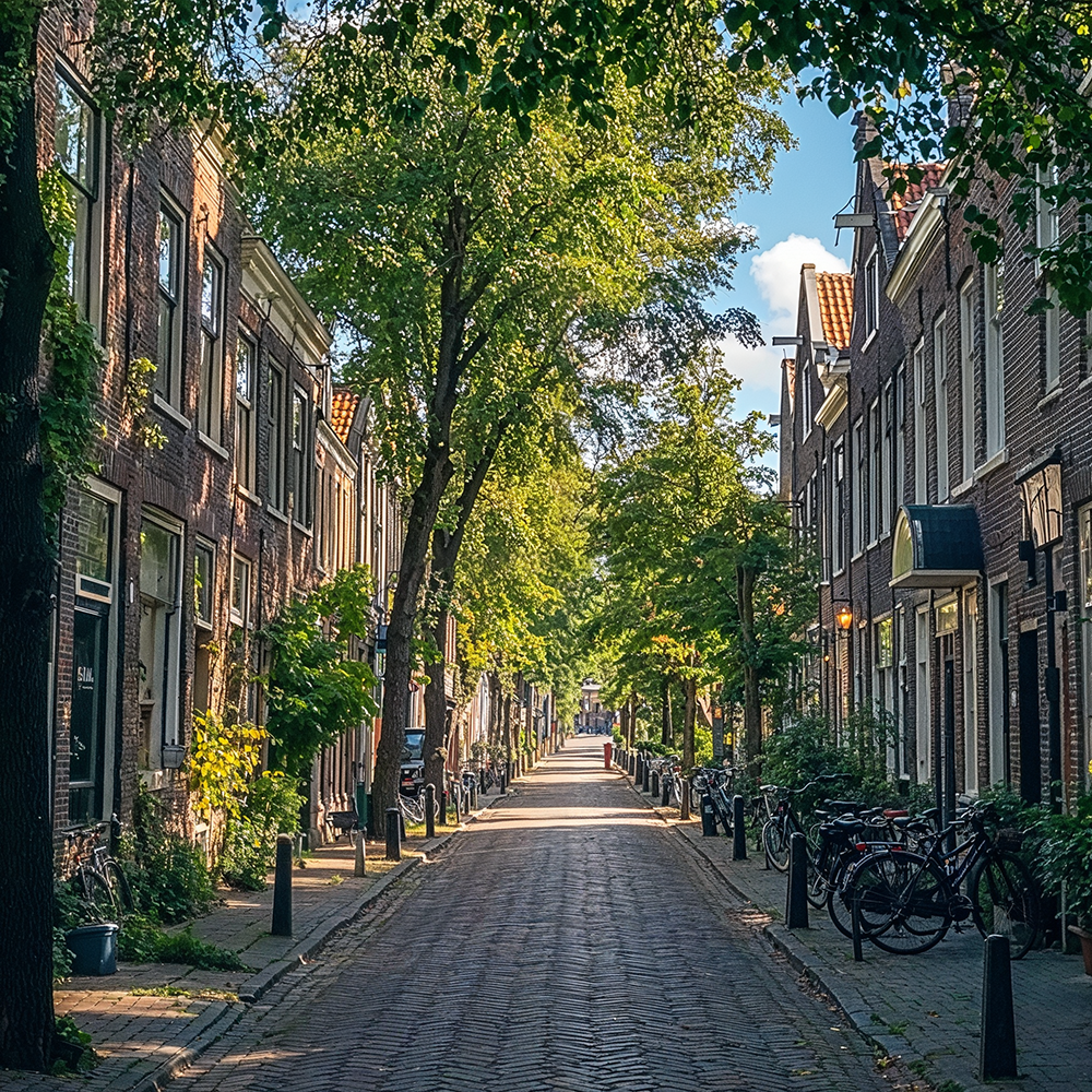 Straat met rijtjes huizen aan beiden kanten en bomenRustige straat met historische bakstenen huizen en veel groen in een oud stadscentrum. Fietsen staan tegen gevels en bomen werpen schaduw op de klinkerweg.