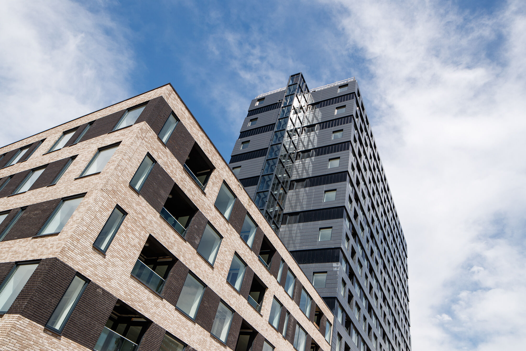 free-sector-houses for rent on Gerbrandyhof 172