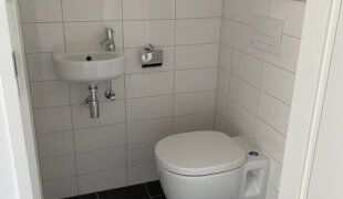 Eekhoorn 42 - foto 5