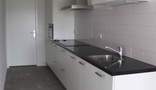 Eekhoorn 42 - foto 2