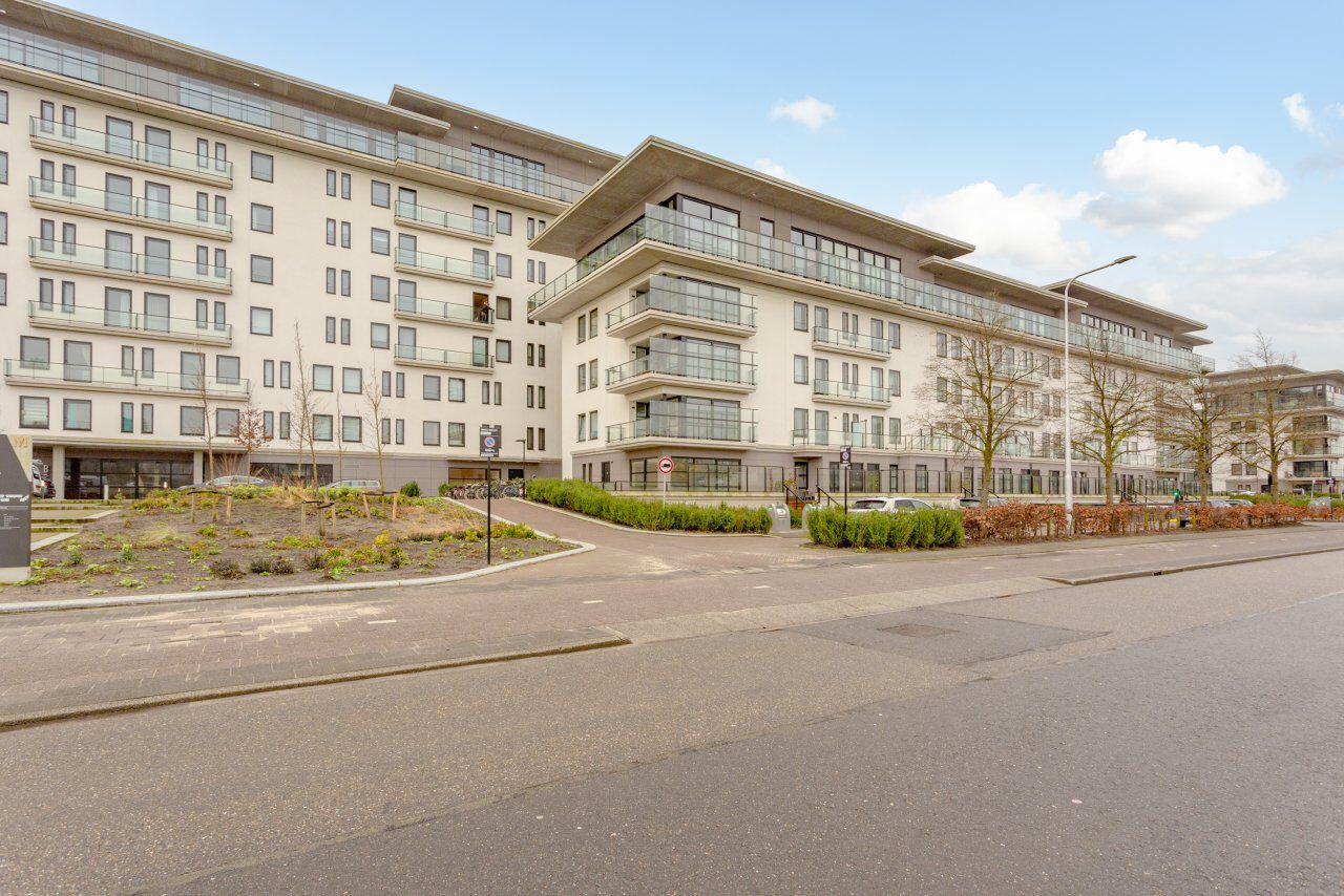 private-rentals for rent on Burgemeester Rijnderslaan 424