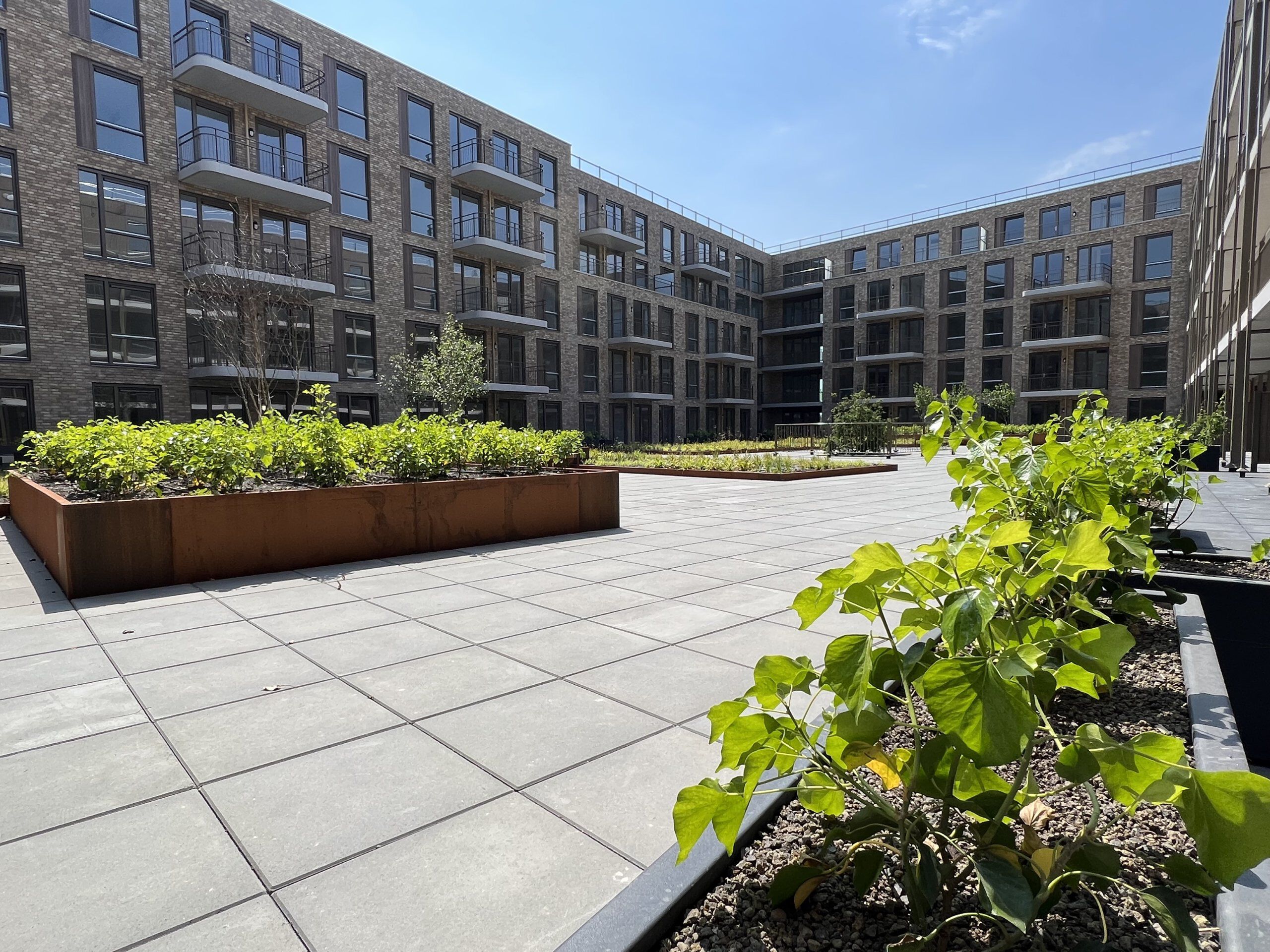 homes for rent on Hickorylaan 122