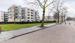studios for rent on Brabantstraat 62 A