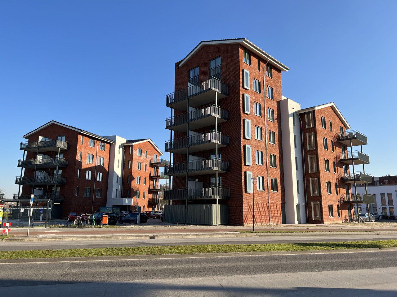 Eekhoorn in Veldhoven