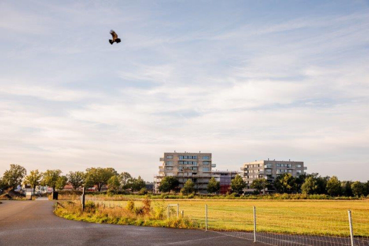 free-sector-houses for rent on Posthoorn 2 A-22