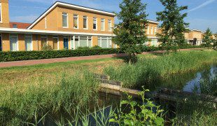 appartementen te huur op Tijgervlinder 18