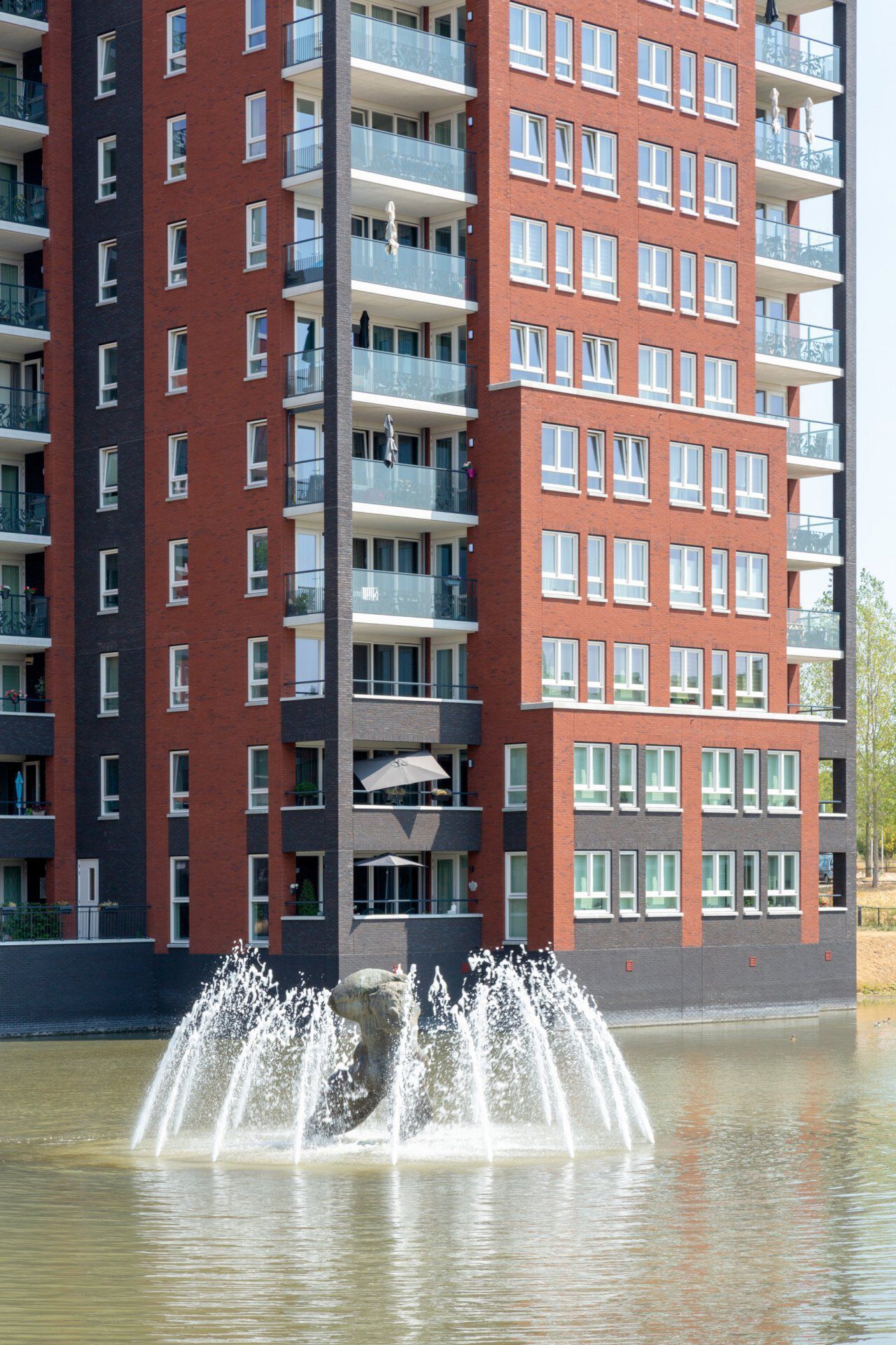 Irene Vorrinkstraat 201 - foto 2