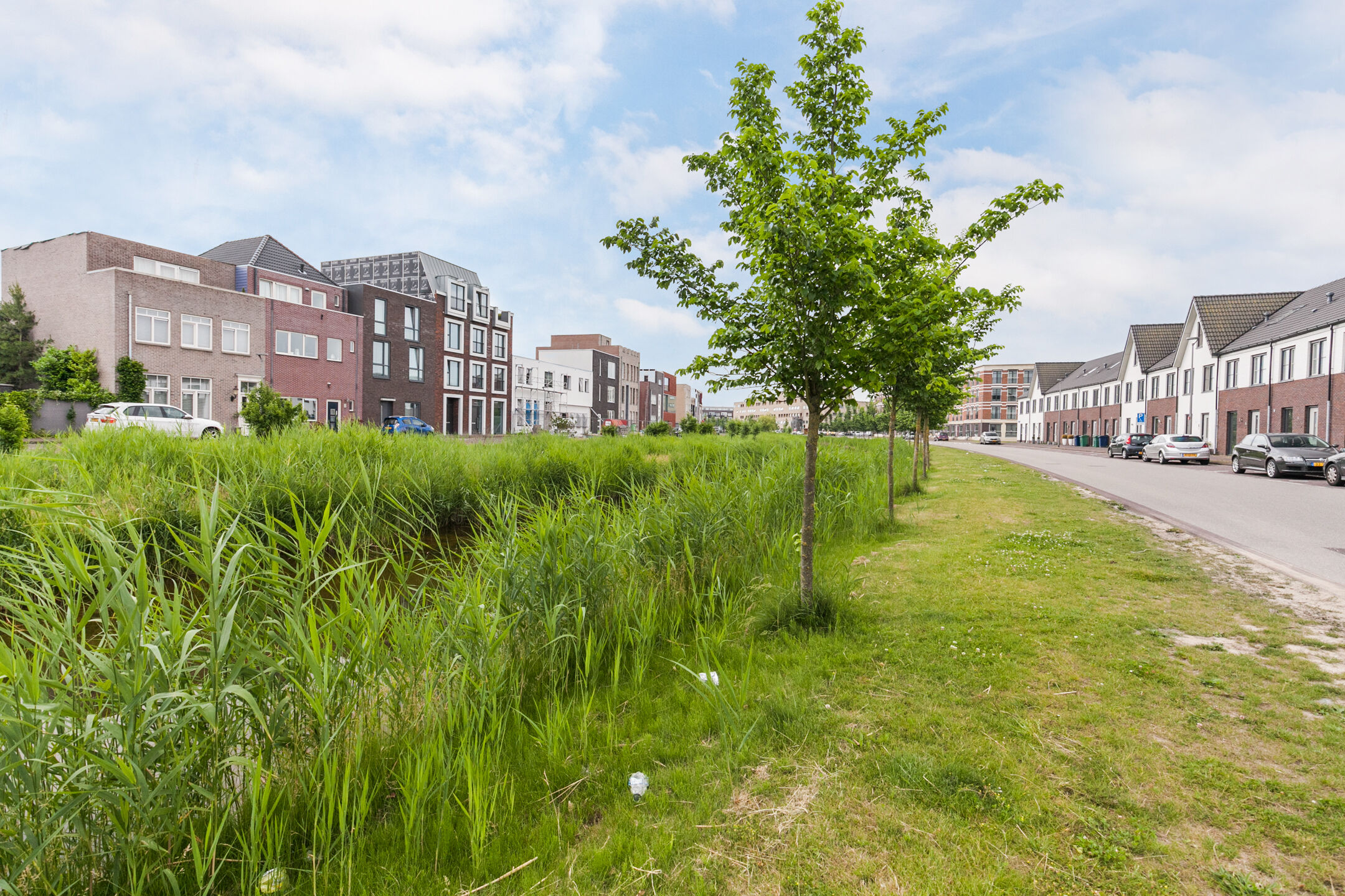 vrije-sector-woningen te huur op Homeruslaan 38