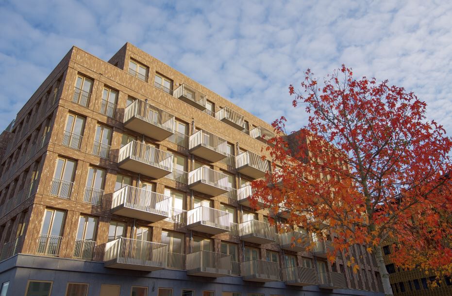 studios te huur op Reykjavikstraat 526