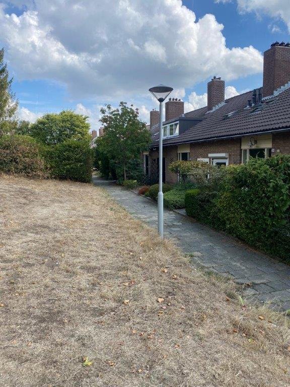 Plataanstraat e.o. te Arnhem