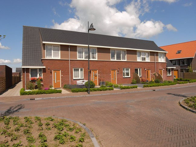 Donsvlinder te Nijkerk Gld