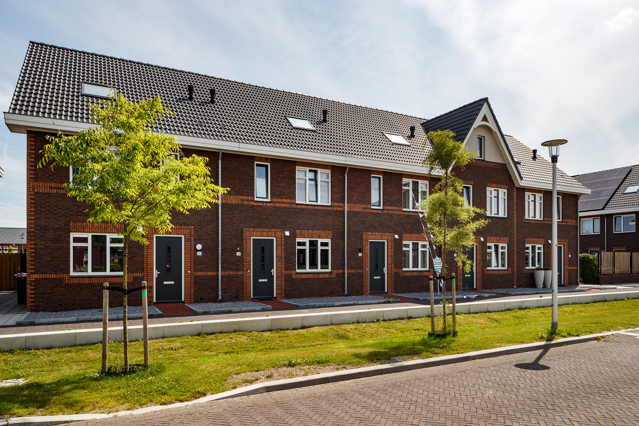 Honingzwam e.o. te Apeldoorn