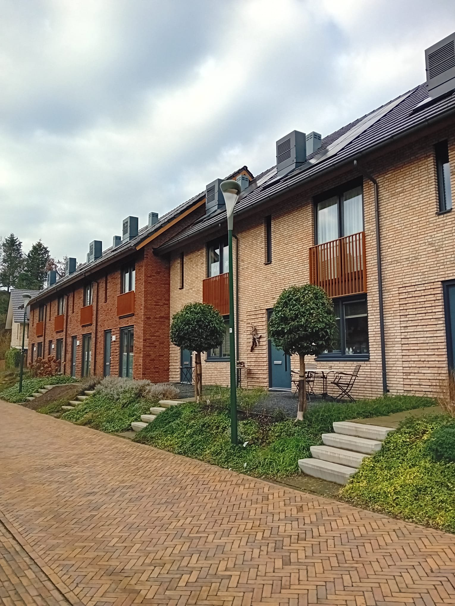 Pimpelmees 7 - foto 2