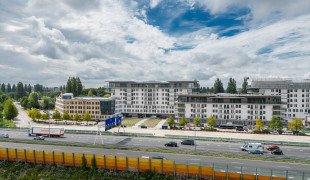 the-mayor-17.jpg