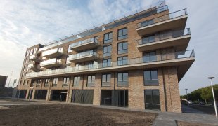 free-sector-houses for rent on Hickorylaan 390