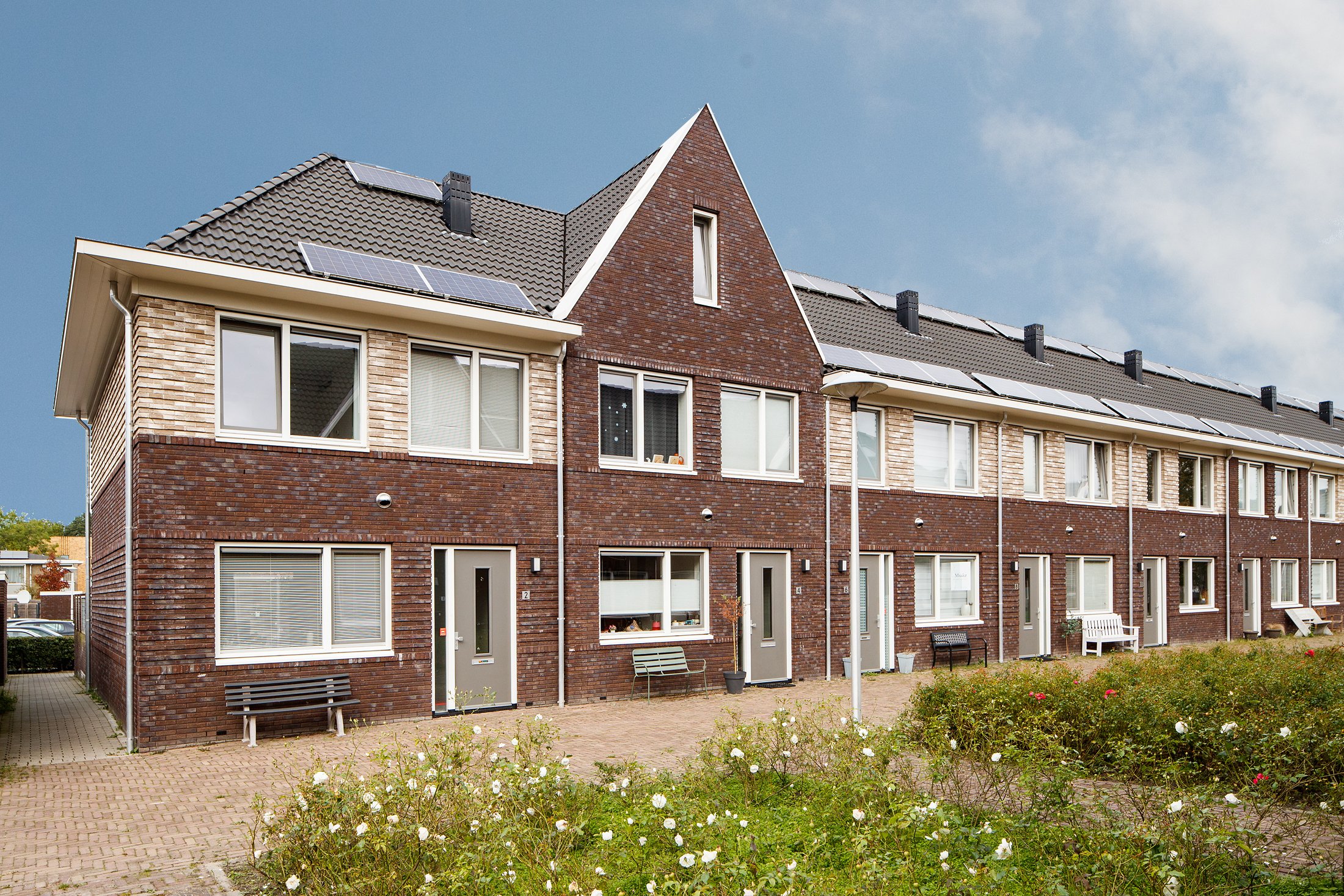 Mussen en Merels te Utrecht