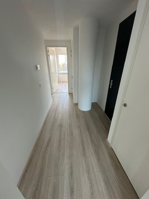 A rental house advertisment